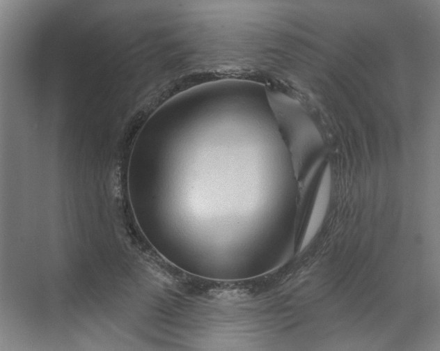 X0000070160689200606091415