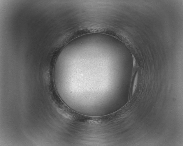 X0000070160690200606091415