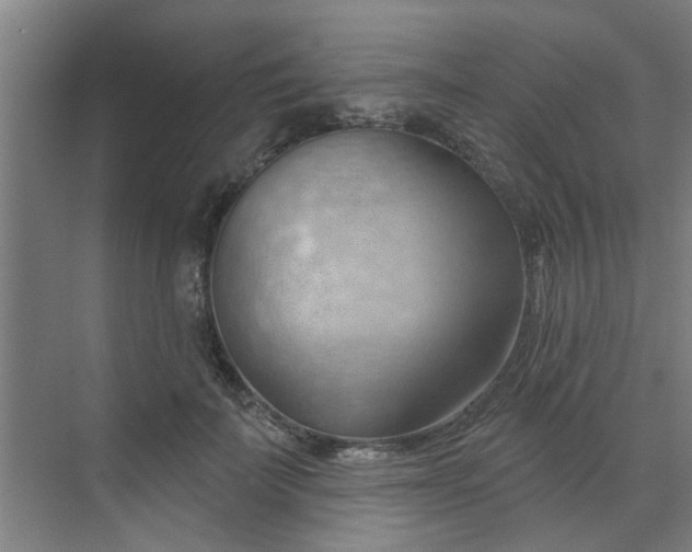 X0000070160699200606091415