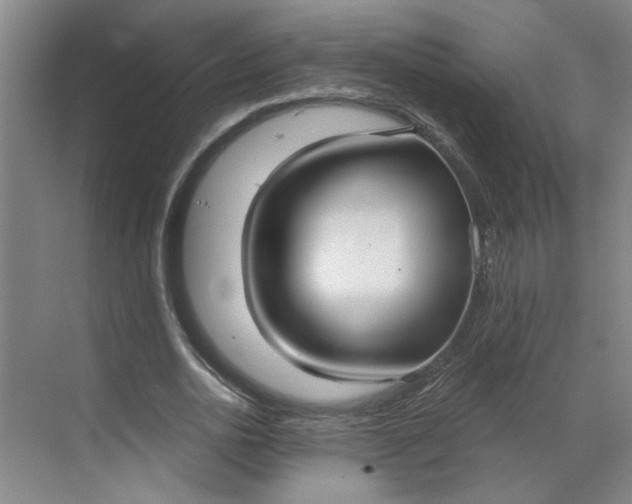 X0000070160726200606091414