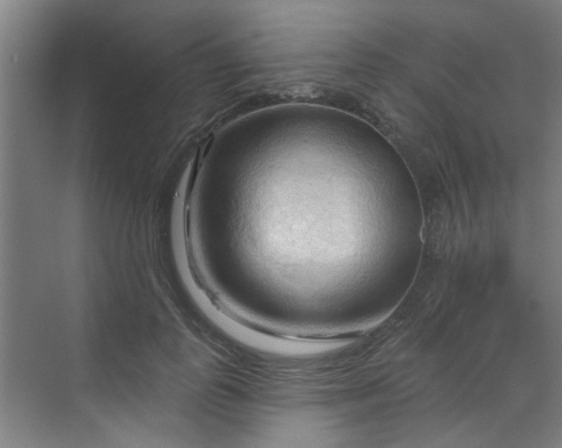 X0000070160747200606091414
