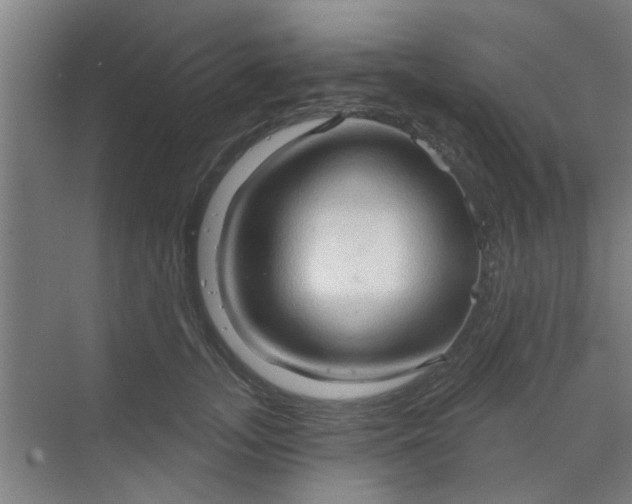 X0000070160755200606091414