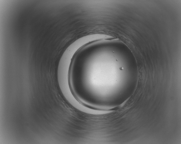 X0000070160762200606091415