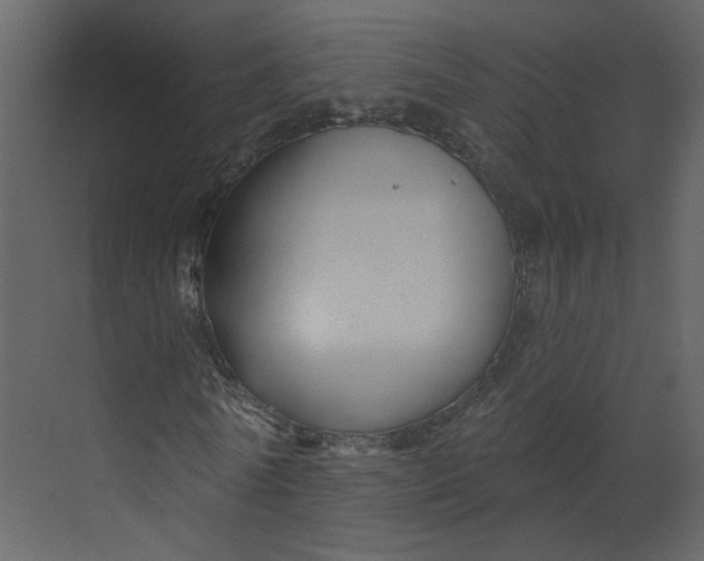 X0000070160770200606091414