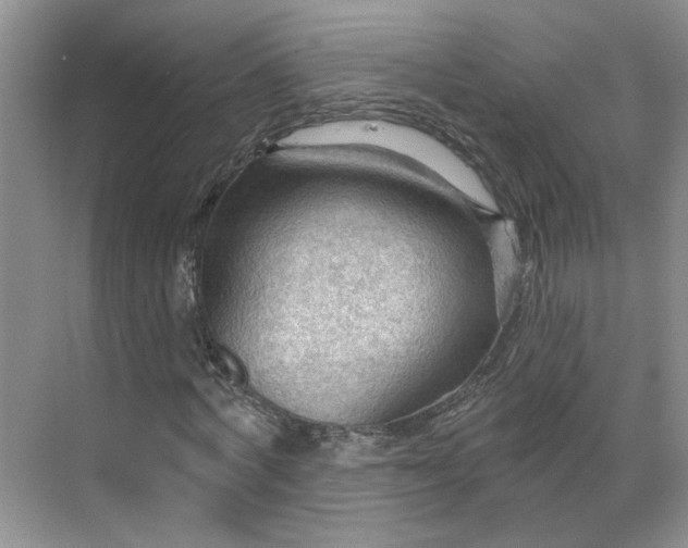 X0000070160772200606091414