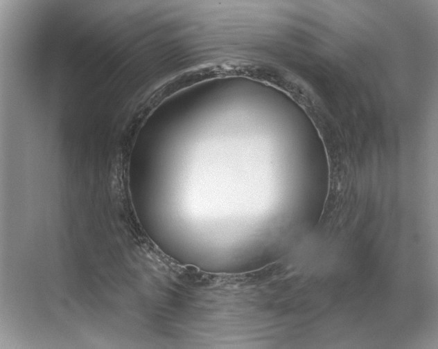 X0000070160773200606091414