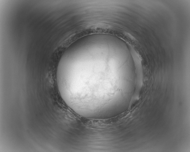 X0000070160774200606091414