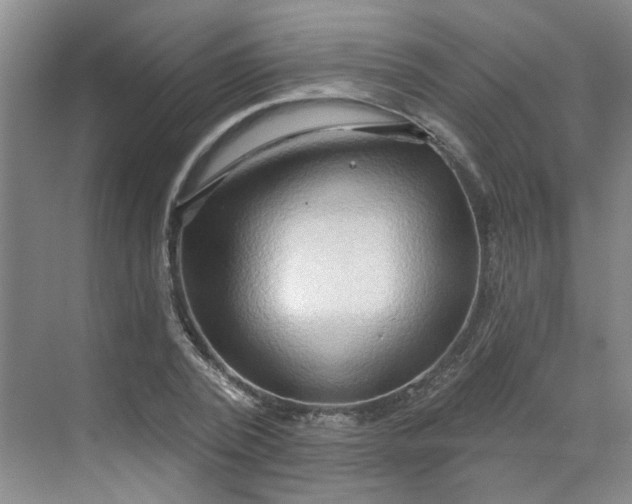 X0000070160784200606091414