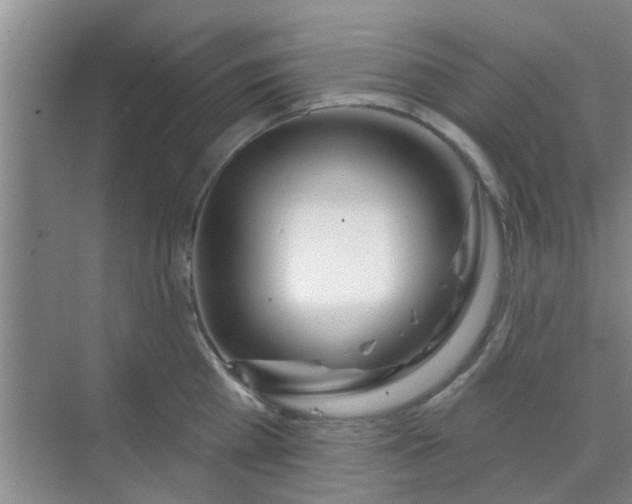 X0000070160809200606091413