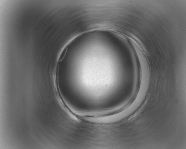X0000070160812200606091413