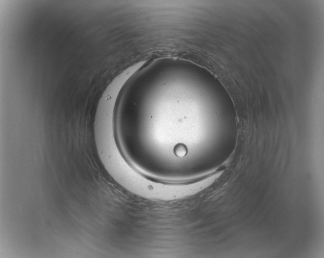 X0000070160818200606091412