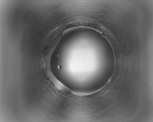 X0000070160822200606091412