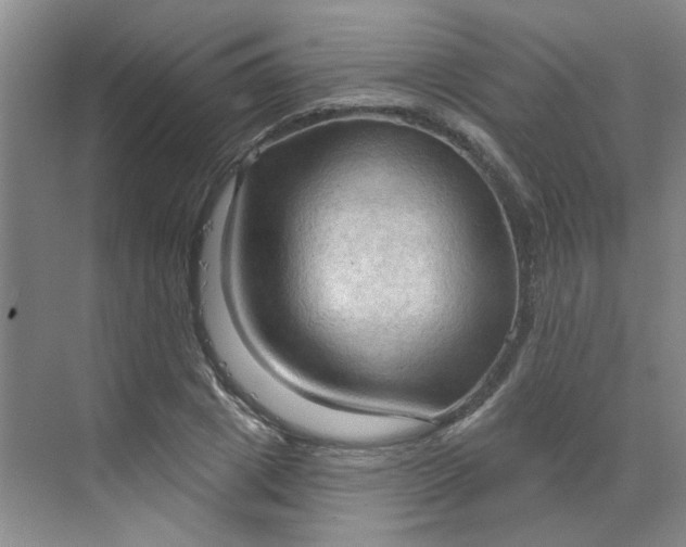 X0000070160833200606091412