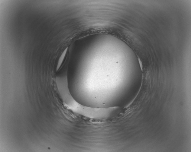 X0000070160868200606091412