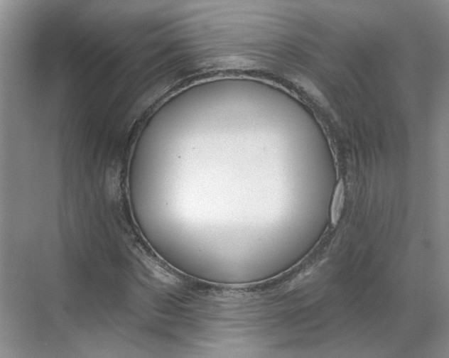 X0000070160873200606091412
