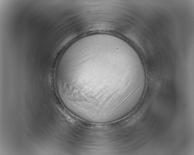 X0000070160874200606091412