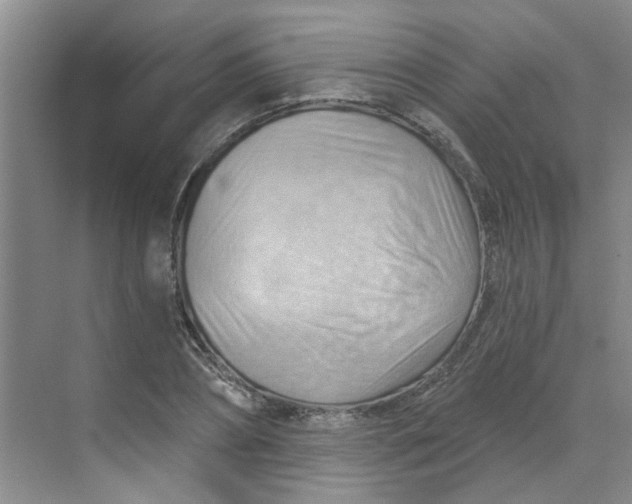 X0000070160882200606091412