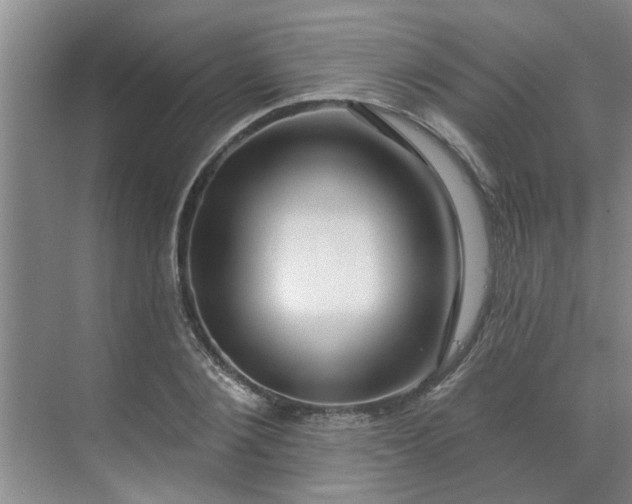 X0000070160884200606091412