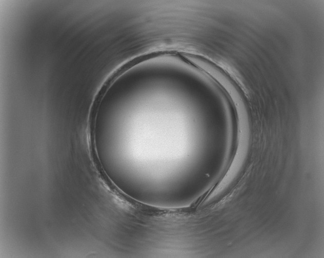 X0000070160888200606091412