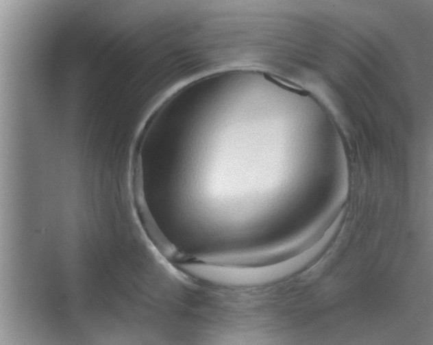 X0000070160910200606091411