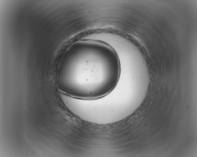 X0000070160920200606091411
