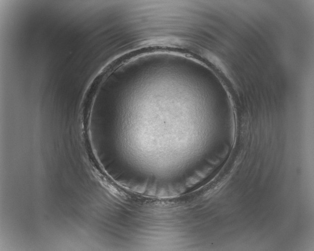 X0000070160923200606091411