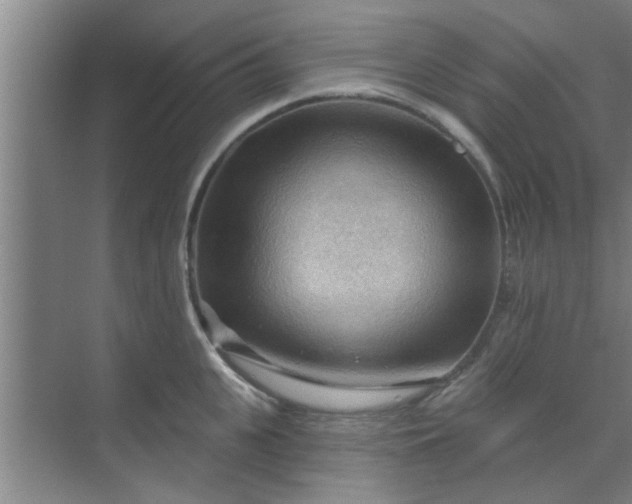 X0000070160951200606091411