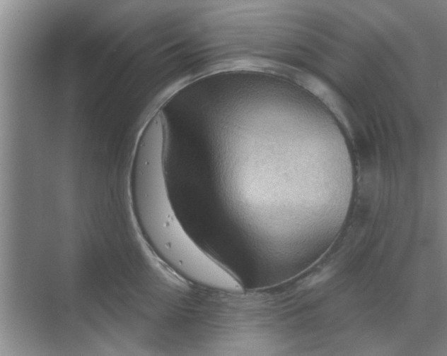 X0000070160954200606091411