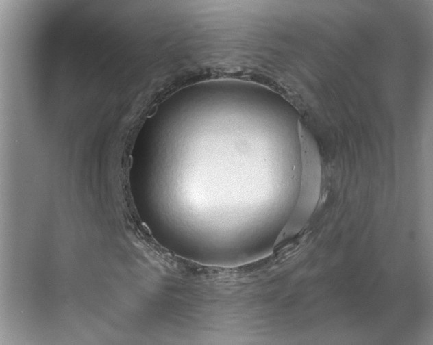 X0000070160961200606091411