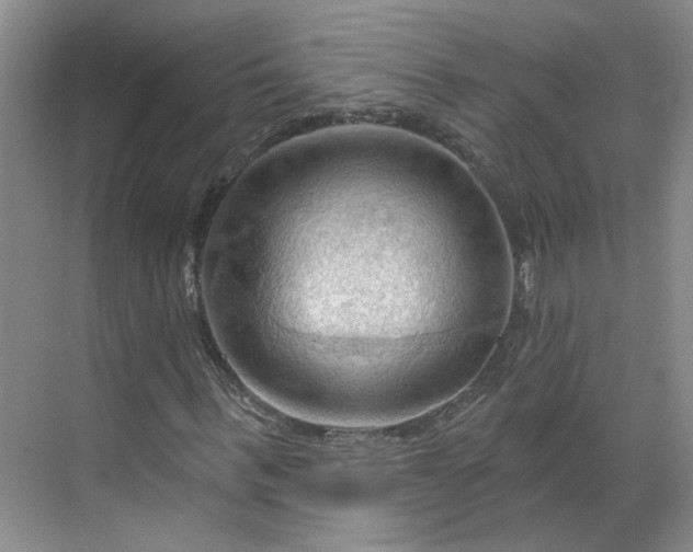 X0000070160963200606091411