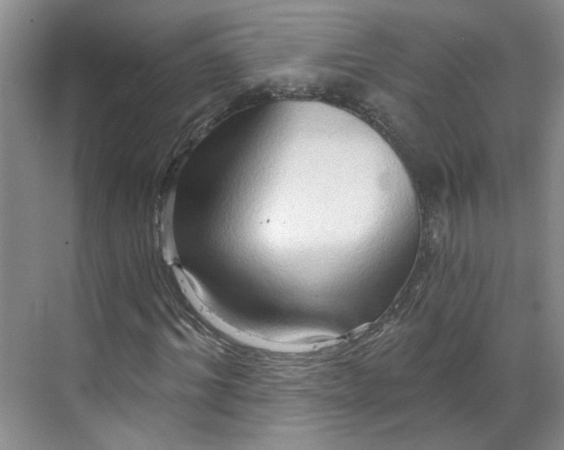 X0000070160964200606091411