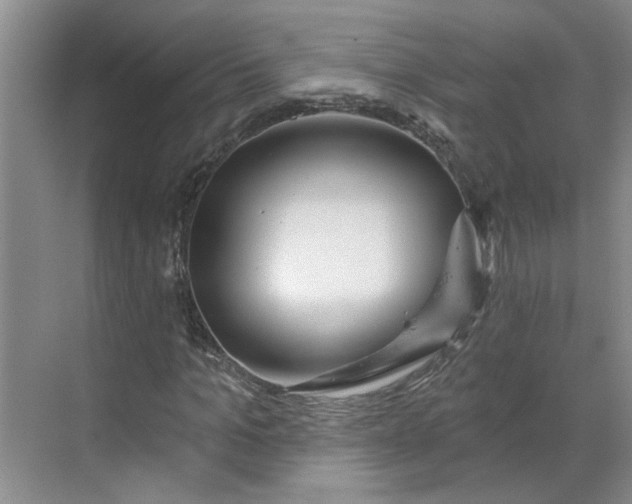 X0000070160965200606091411