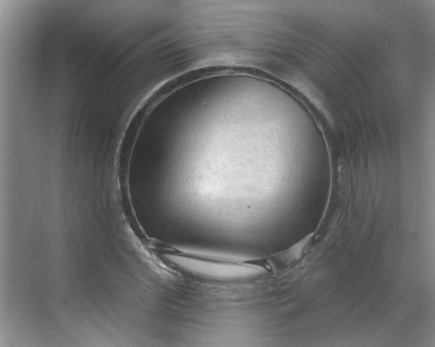 X0000070160972200606091410