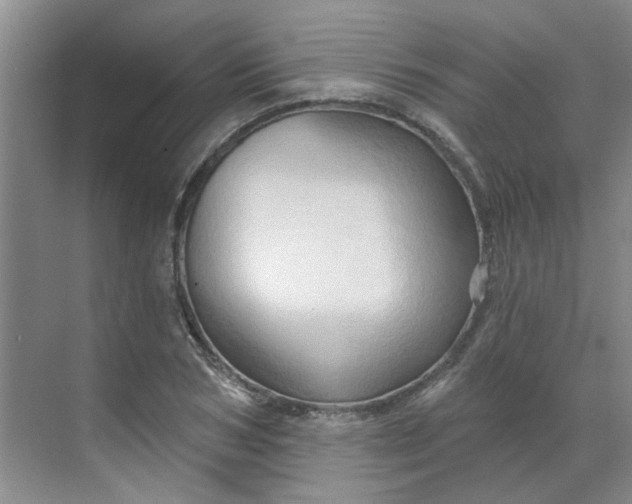X0000070160978200606091410