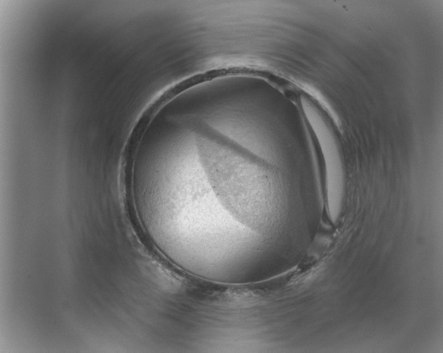 X0000070160983200606091410