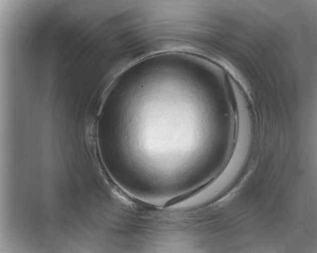 X0000070161001200606091410