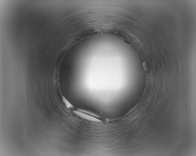 X0000070161012200606091409