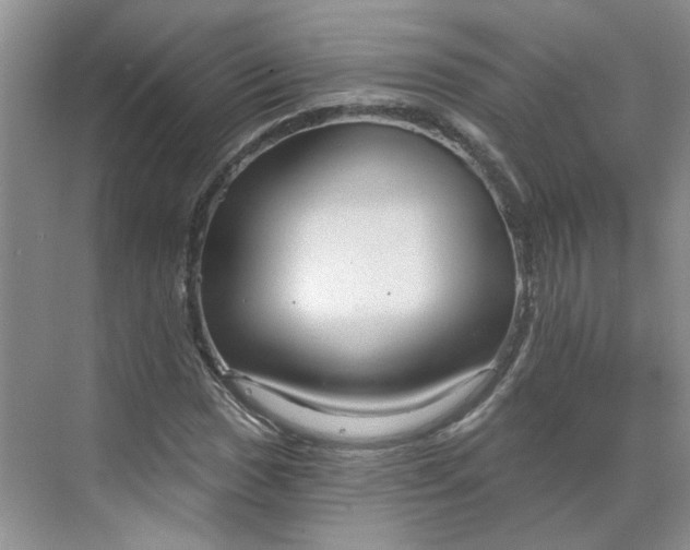 X0000070161017200606091409