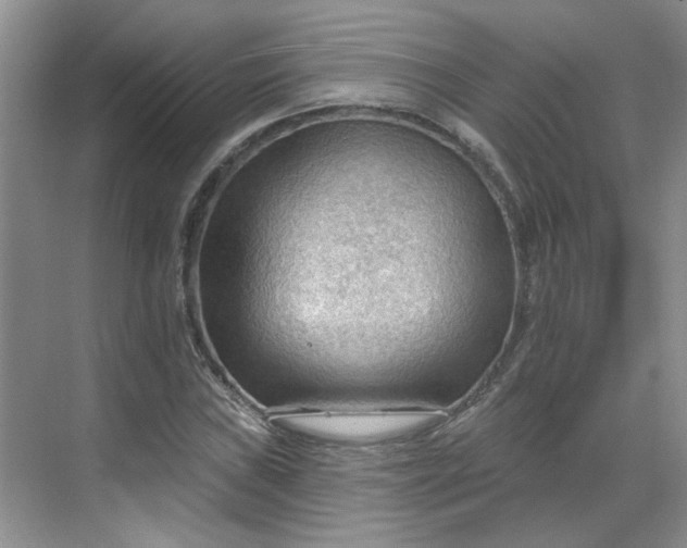 X0000070161019200606091409
