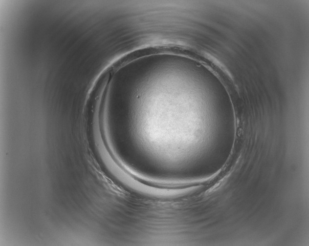 X0000070161021200606091409