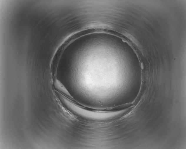 X0000070161022200606091409