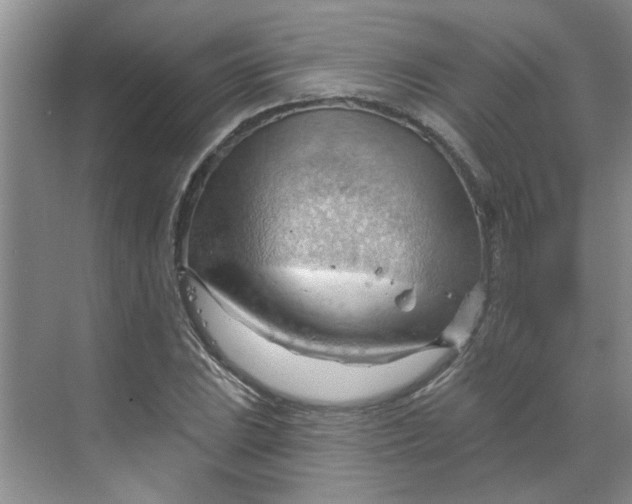 X0000070161023200606091409