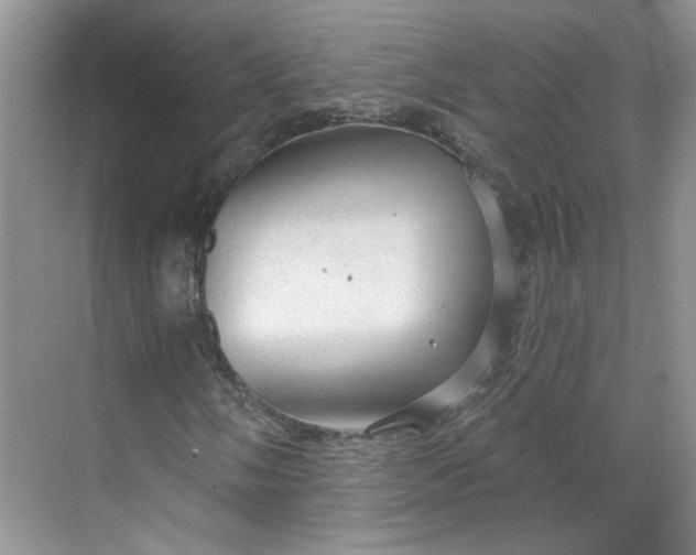X0000070161058200606091409
