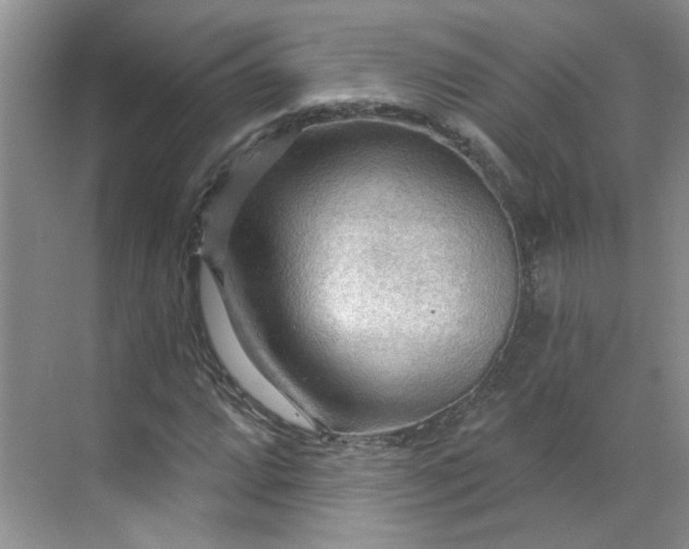 X0000070161064200606091409