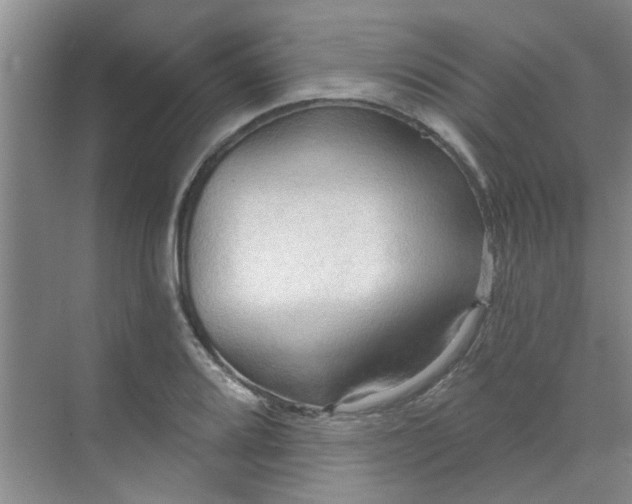 X0000070161080200606091409
