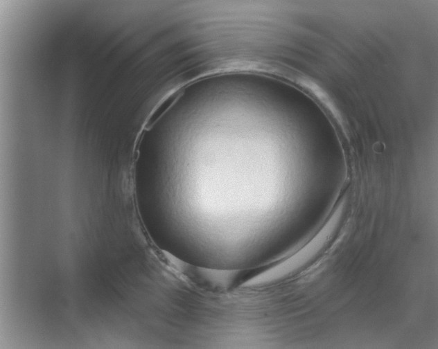 X0000070161097200606091408