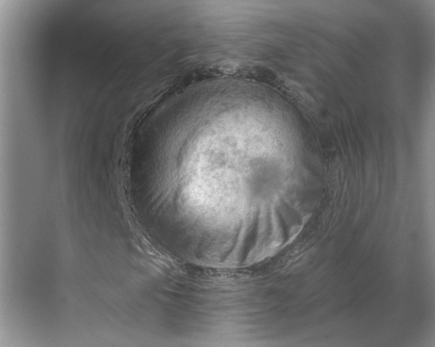 X0000070161105200606091407