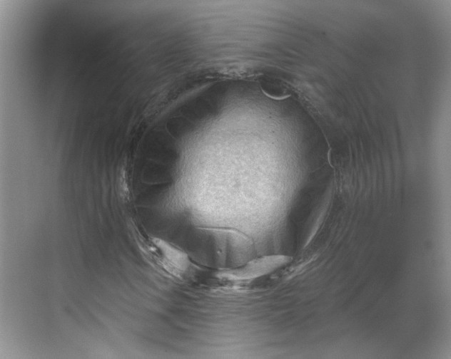 X0000070161106200606091407