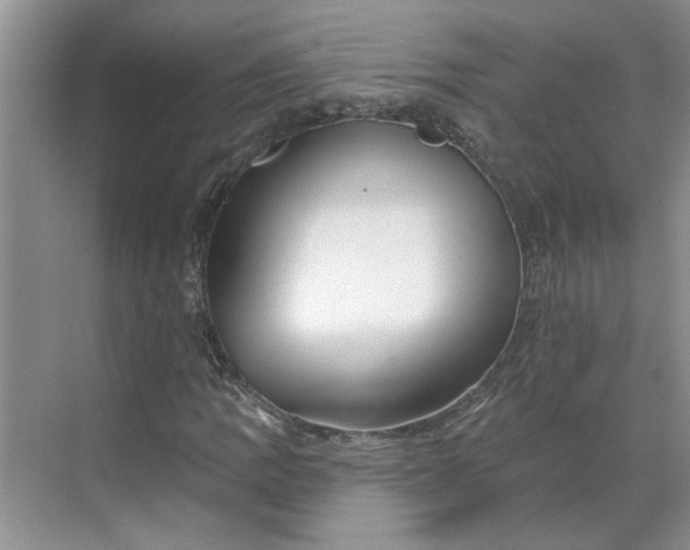 X0000070161109200606091407