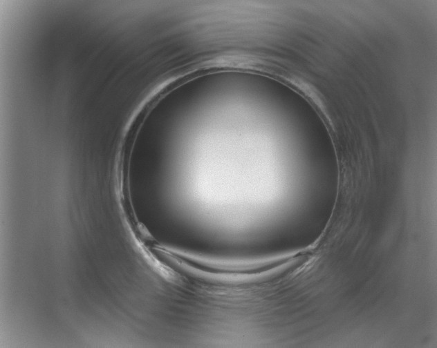 X0000070161131200606091408